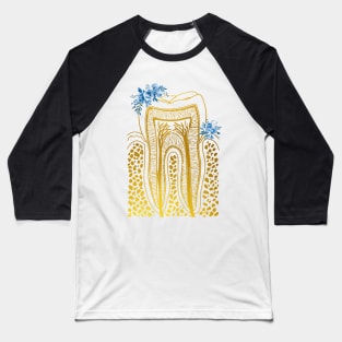 Tooth Structure Baseball T-Shirt